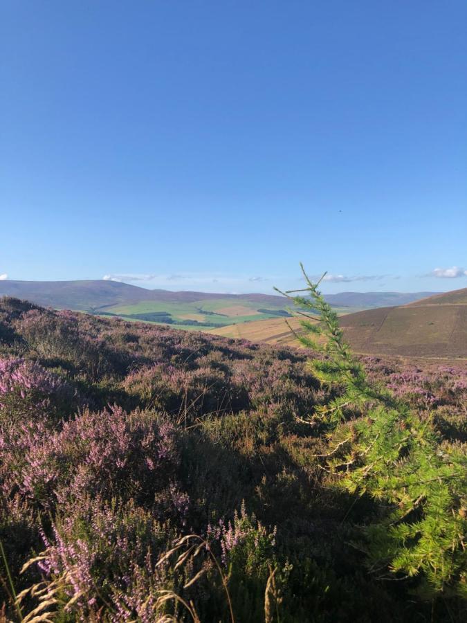 Oakbank - Comfort In The Glens! Edzell Kültér fotó